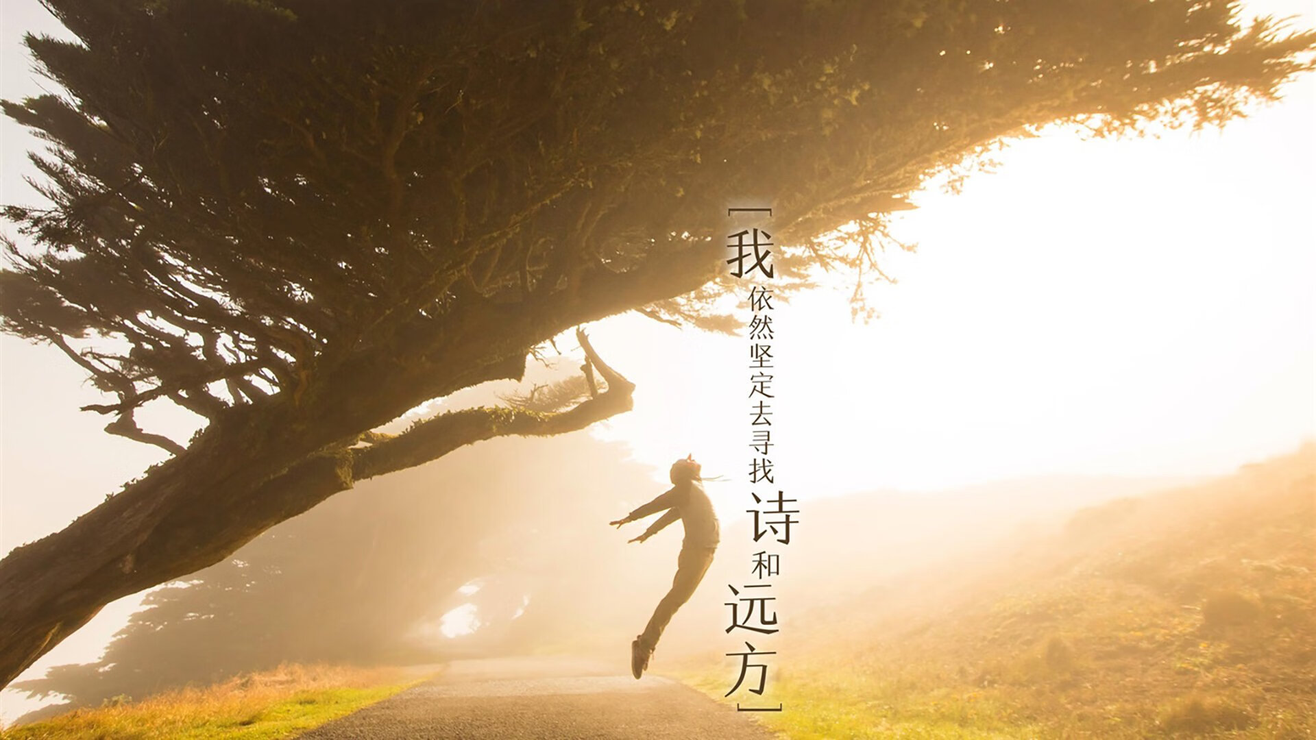 浙江队关键战突围步行者,詹姆斯全程高能输出