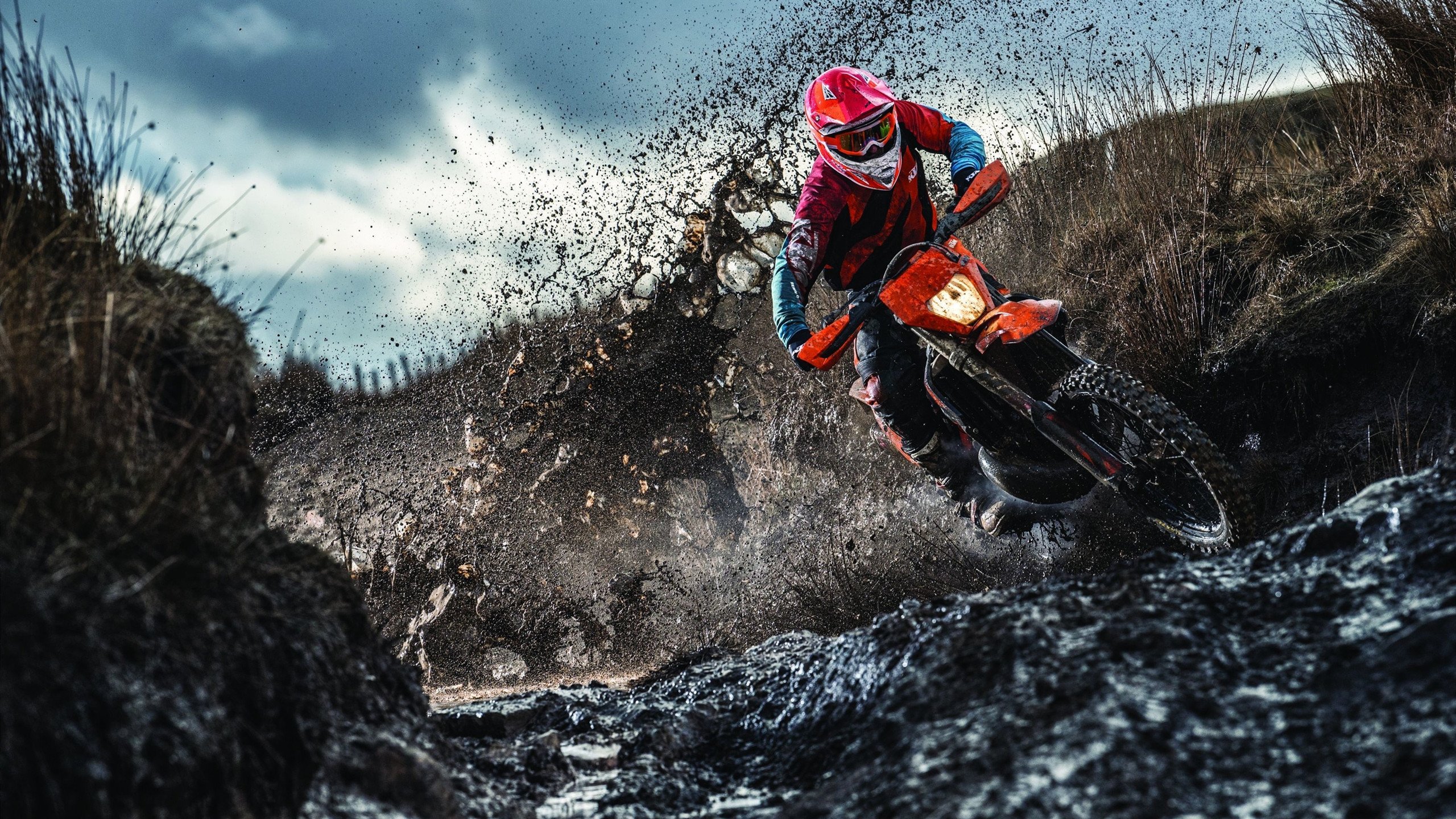 DB电竞分析入口-欧冠淘汰赛之夜，布克攻防两端统治