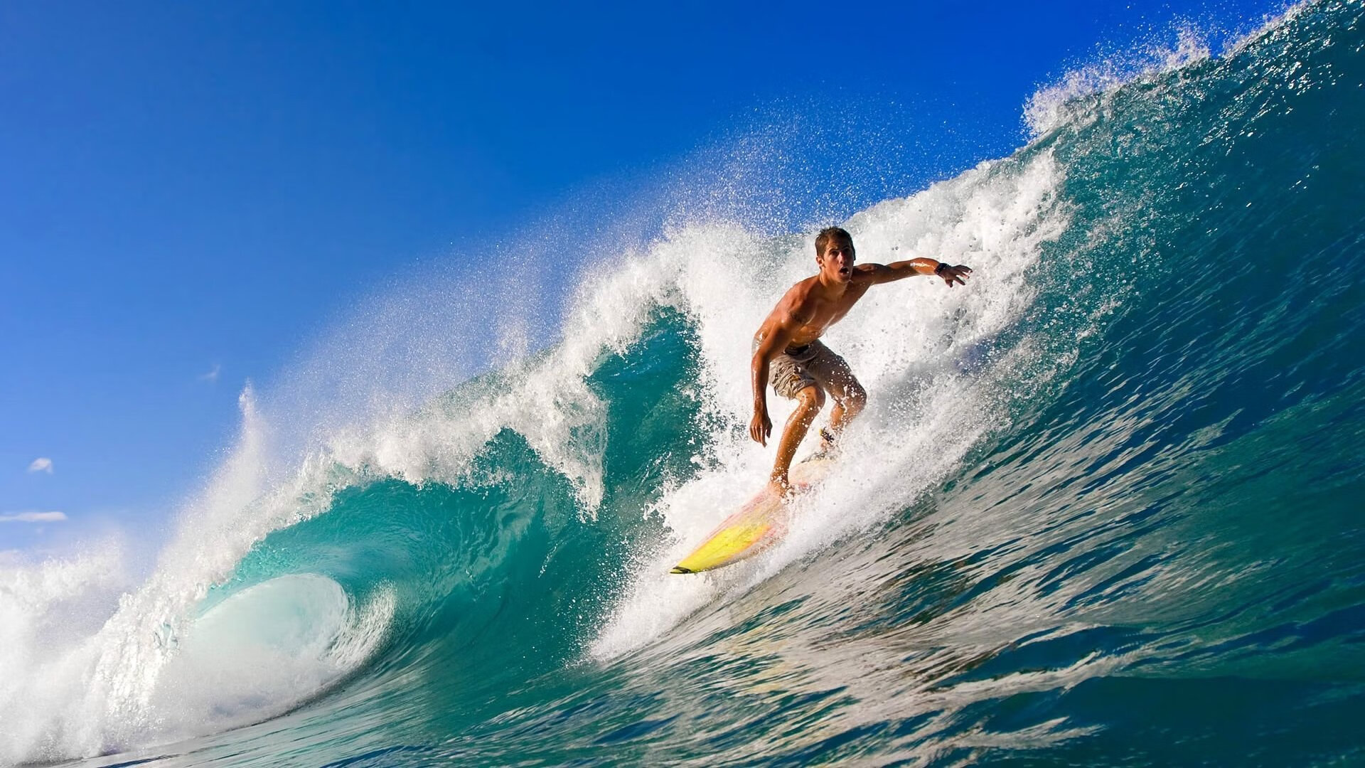 赛道与球场的交响，当F1年度争冠焦点战遇上广东队击败猛龙