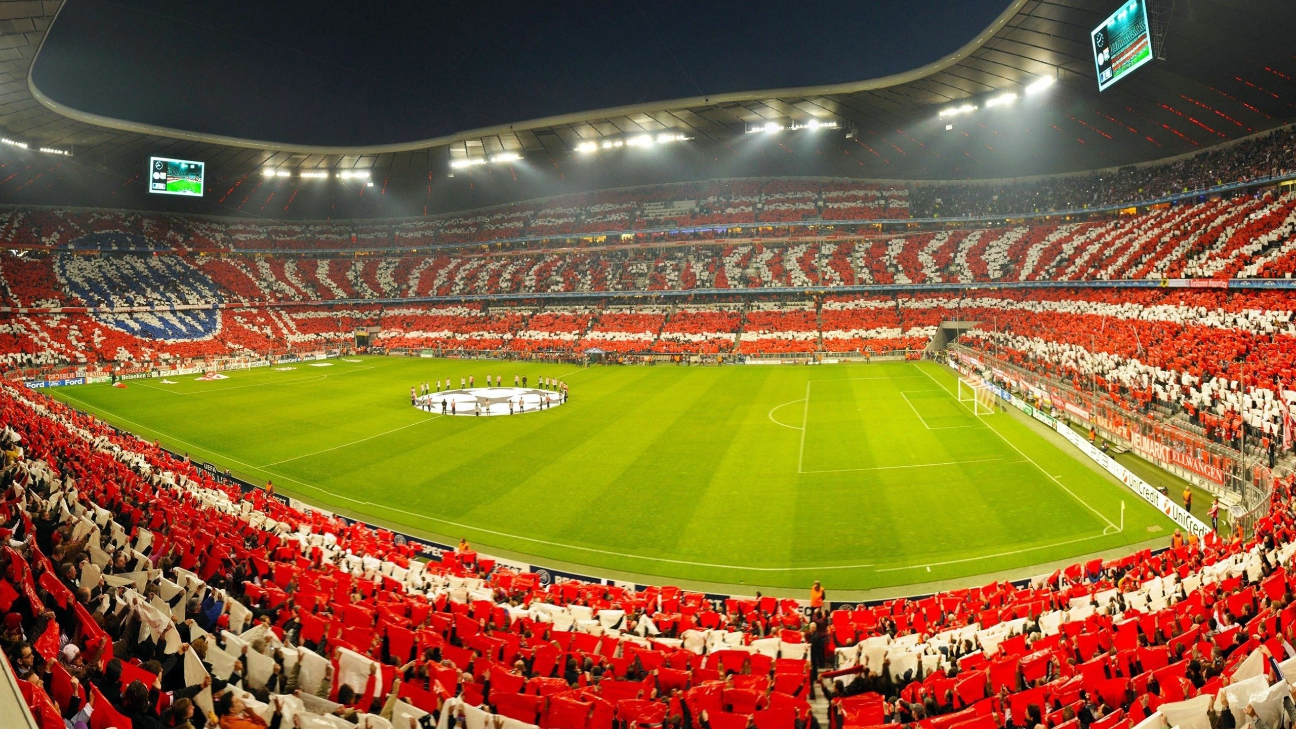 从温网横扫到戴维斯杯救赎，穆雷点燃的不只是赛场